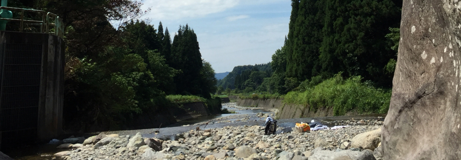 レビュアーのカバー画像