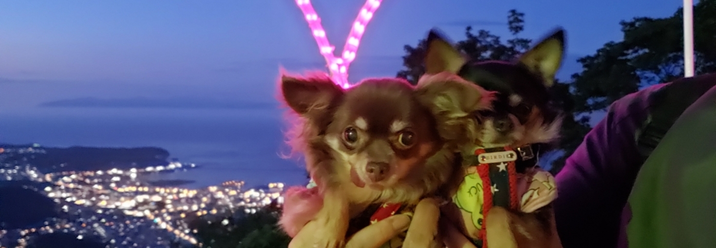 レビュアーのカバー画像