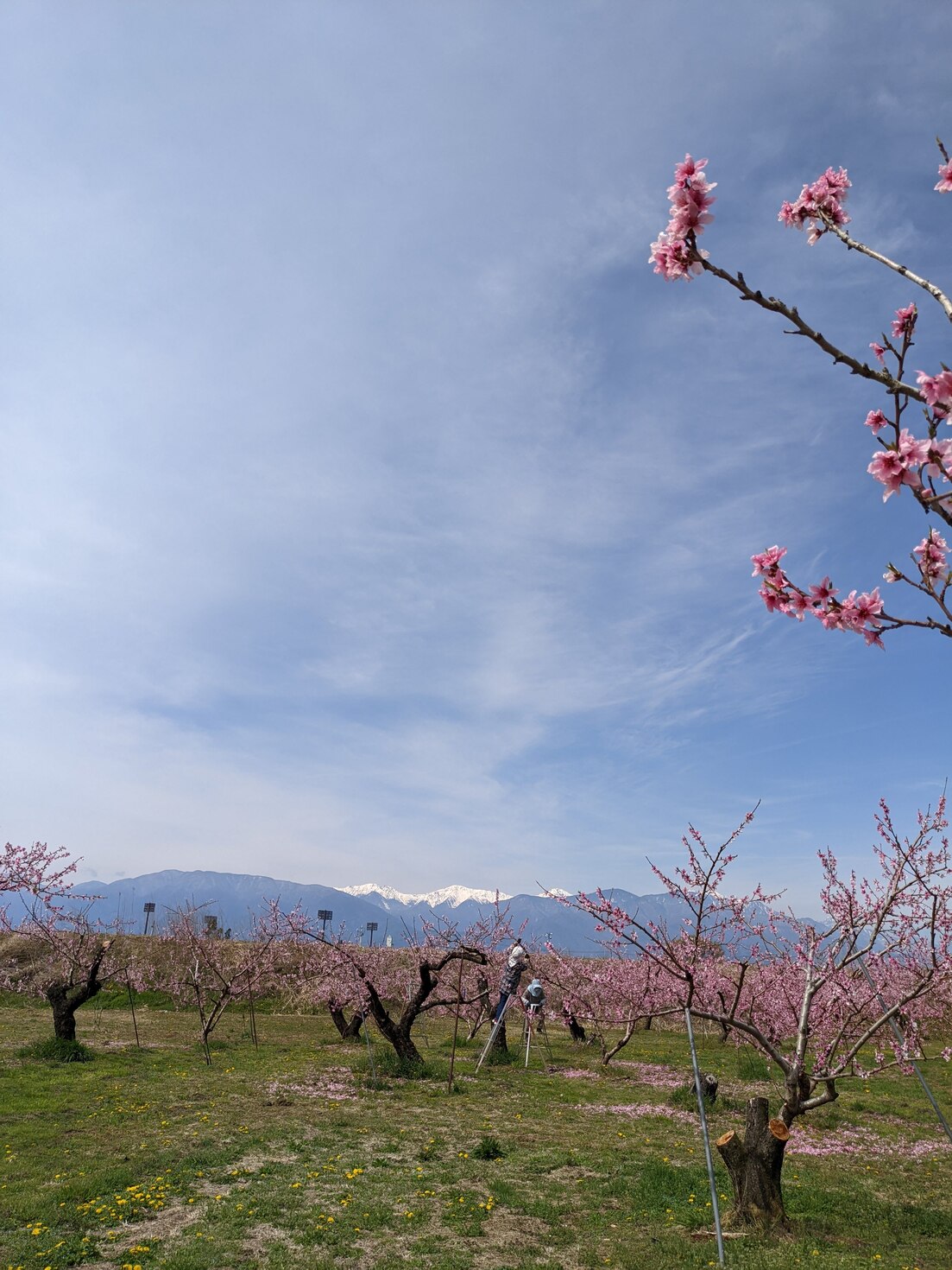 レビュアーのカバー画像