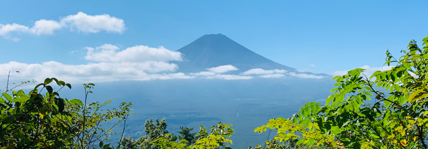 レビュアーのカバー画像