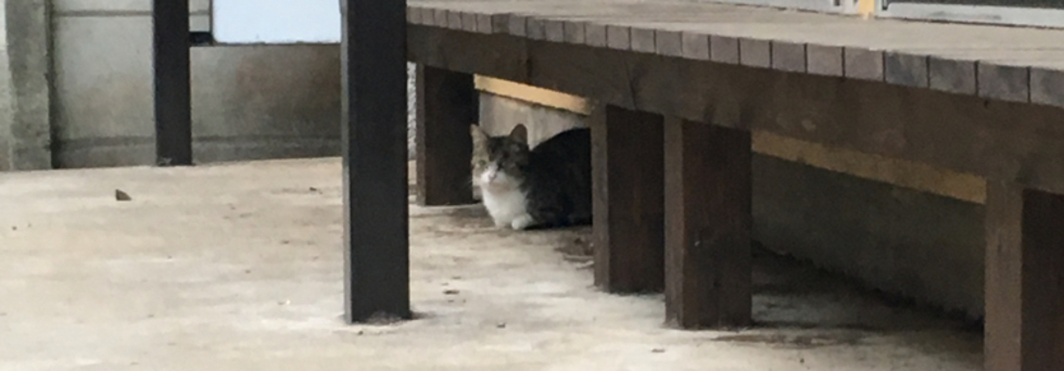 レビュアーのカバー画像