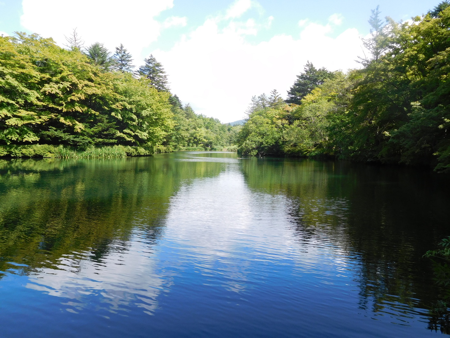 レビュアーのカバー画像