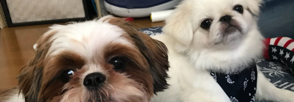 レビュアーのカバー画像