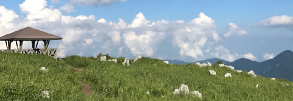 レビュアーのカバー画像