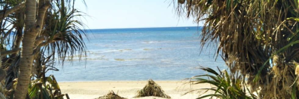 レビュアーのカバー画像