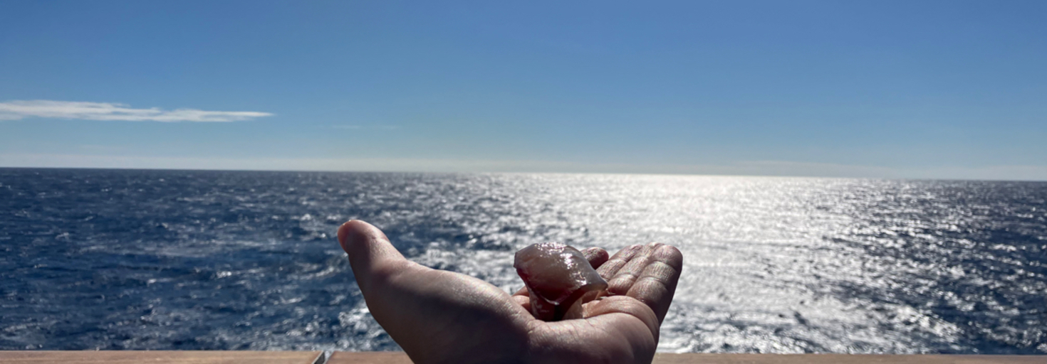 レビュアーのカバー画像