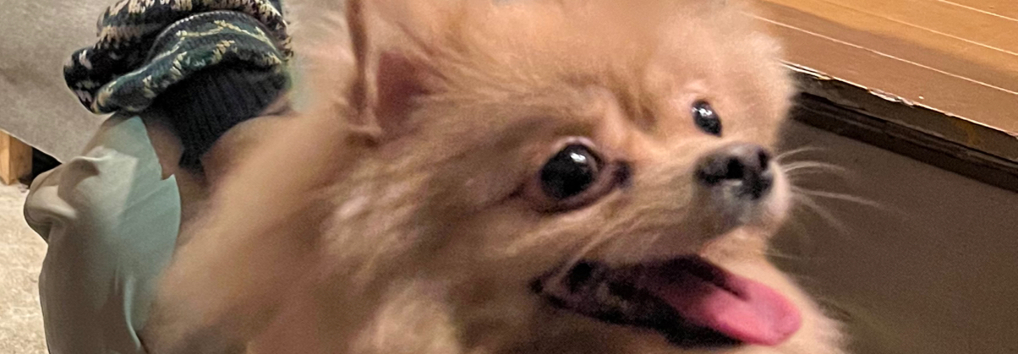 レビュアーのカバー画像