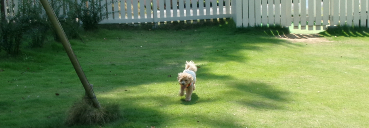 レビュアーのカバー画像