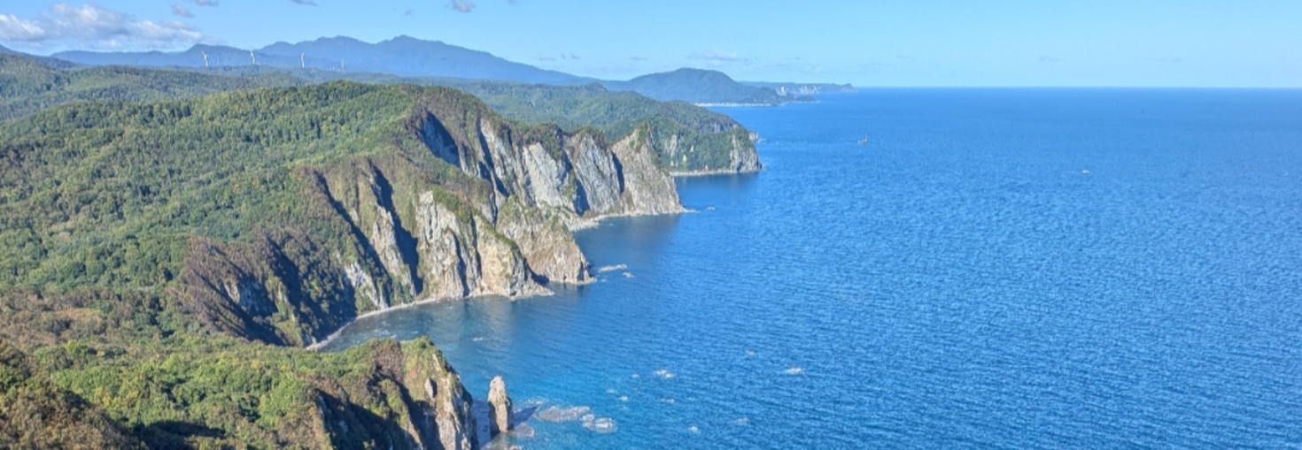 レビュアーのカバー画像