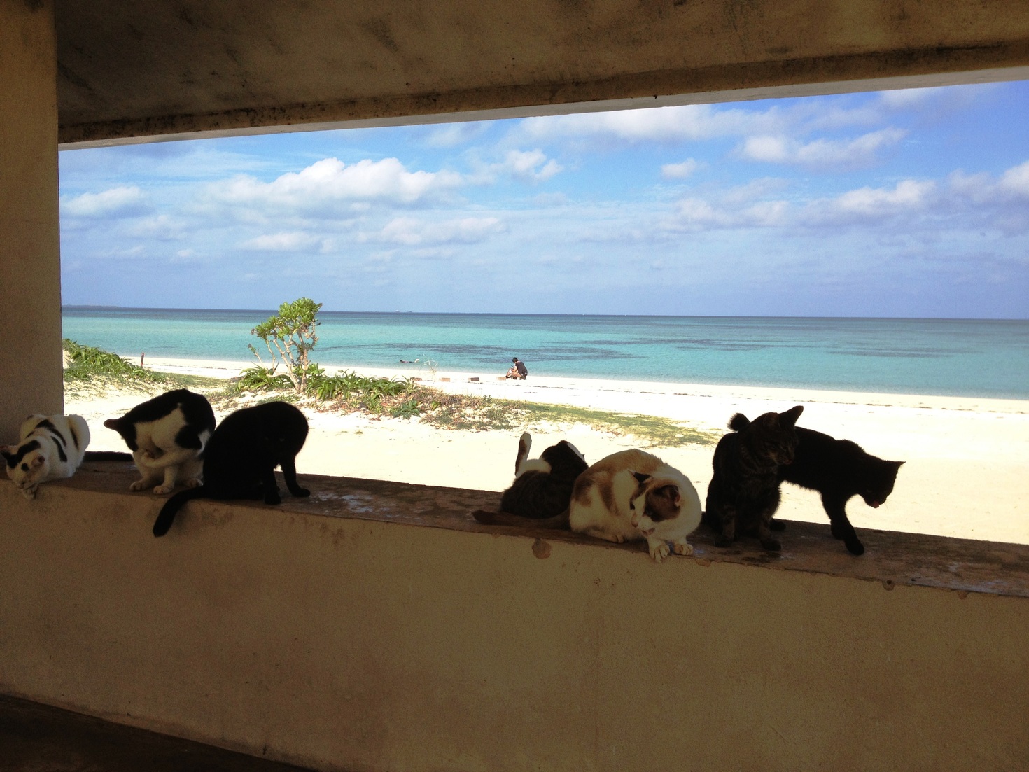 レビュアーのカバー画像