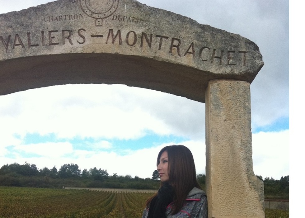 レビュアーのカバー画像