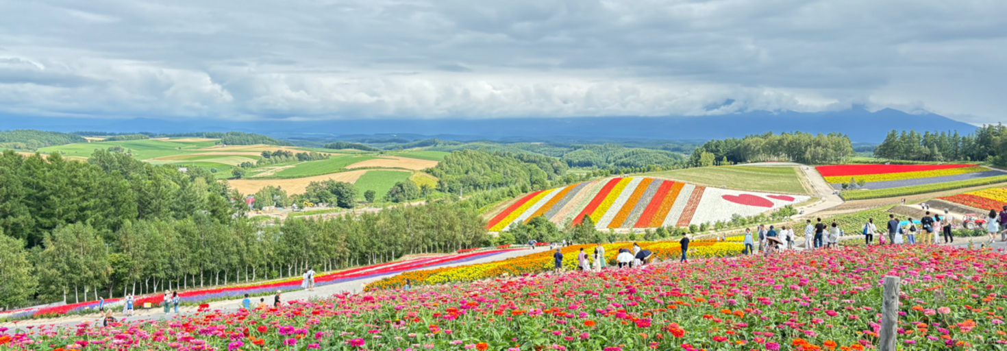 レビュアーのカバー画像
