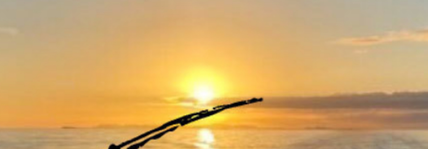 レビュアーのカバー画像