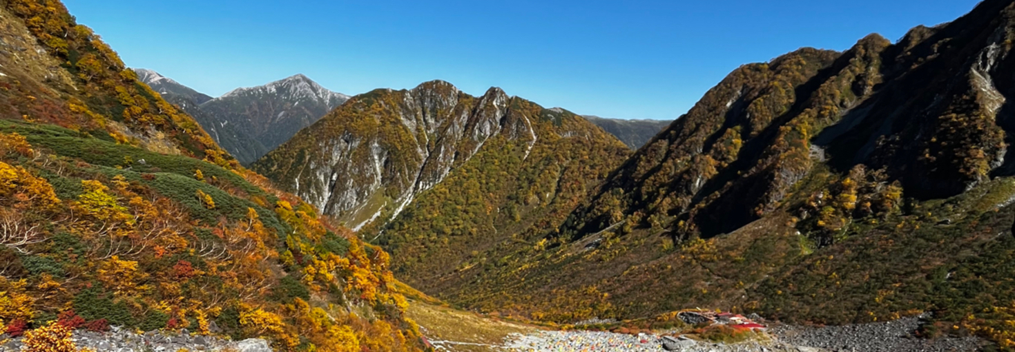 レビュアーのカバー画像