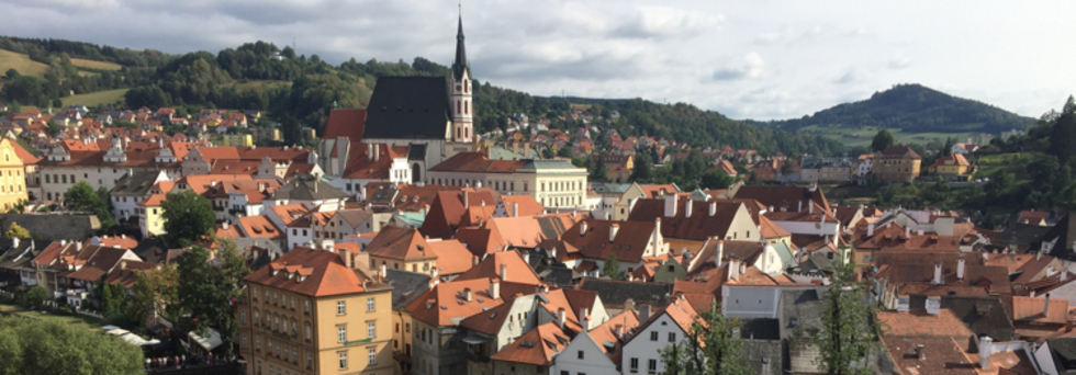 レビュアーのカバー画像