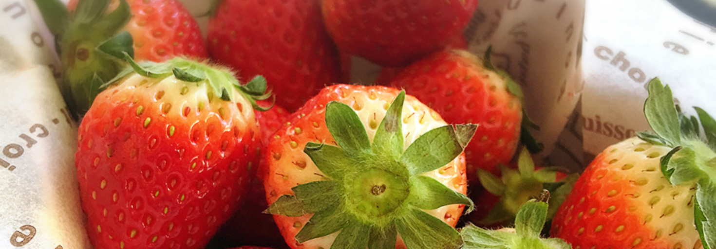 レビュアーのカバー画像