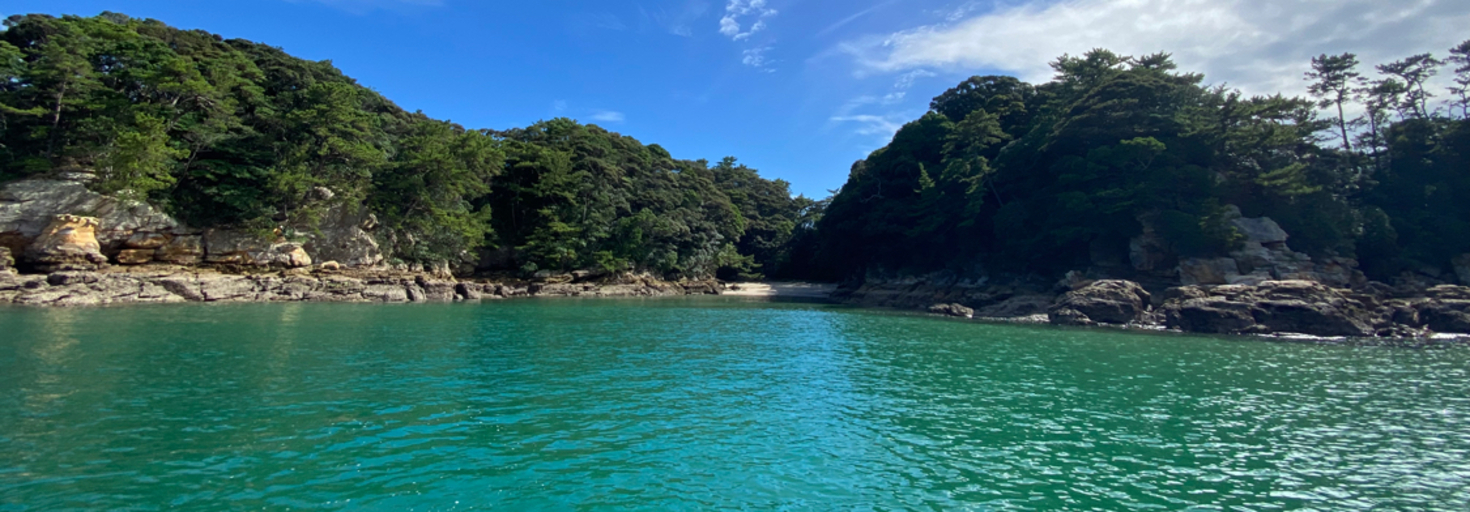 レビュアーのカバー画像