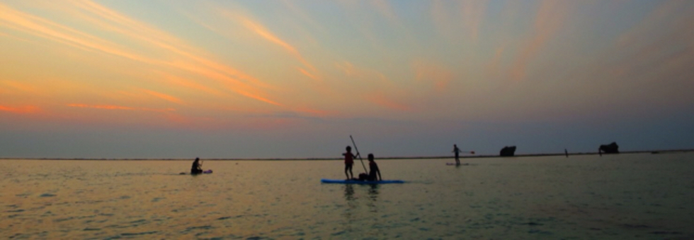 レビュアーのカバー画像