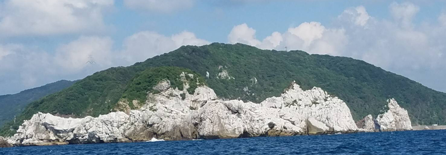 レビュアーのカバー画像