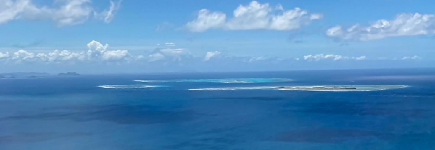 レビュアーのカバー画像