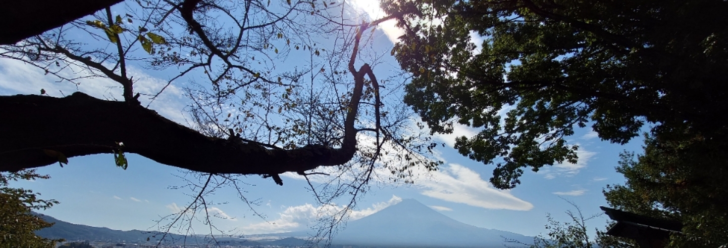 レビュアーのカバー画像