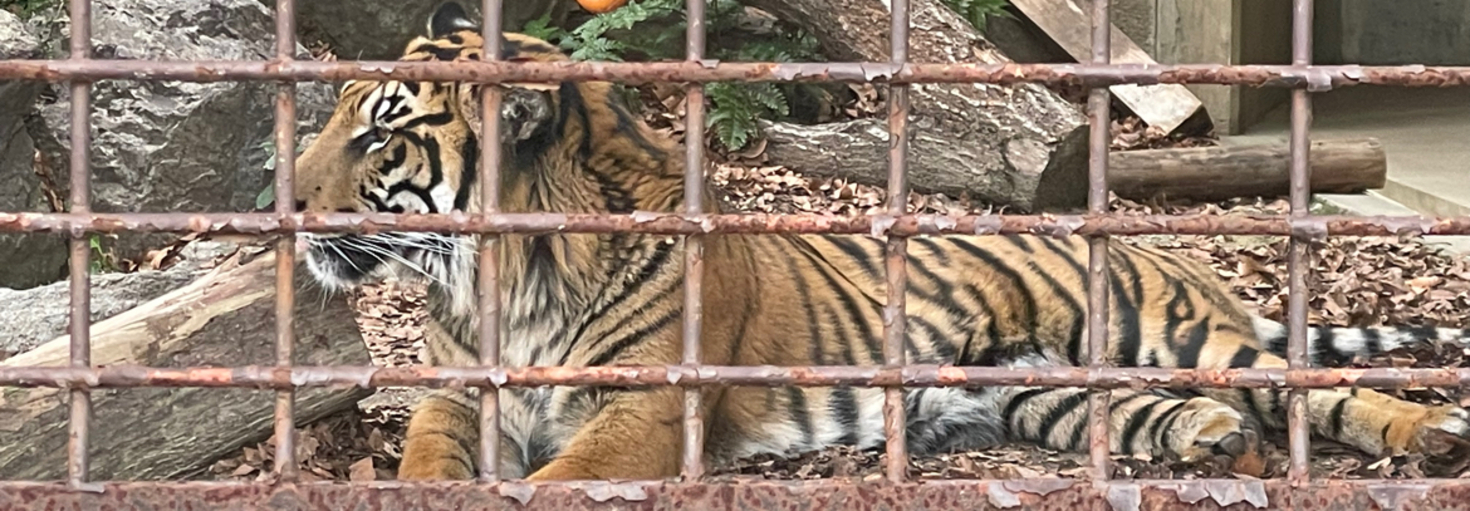 レビュアーのカバー画像