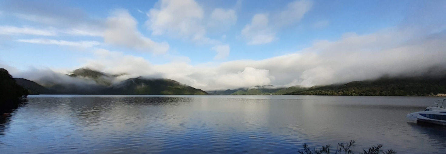 レビュアーのカバー画像