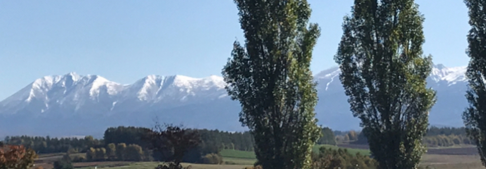 レビュアーのカバー画像