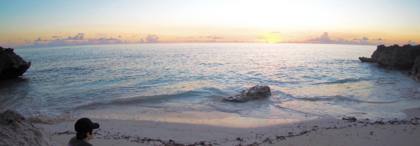 レビュアーのカバー画像