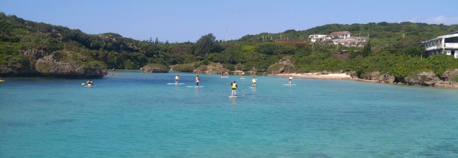 レビュアーのカバー画像