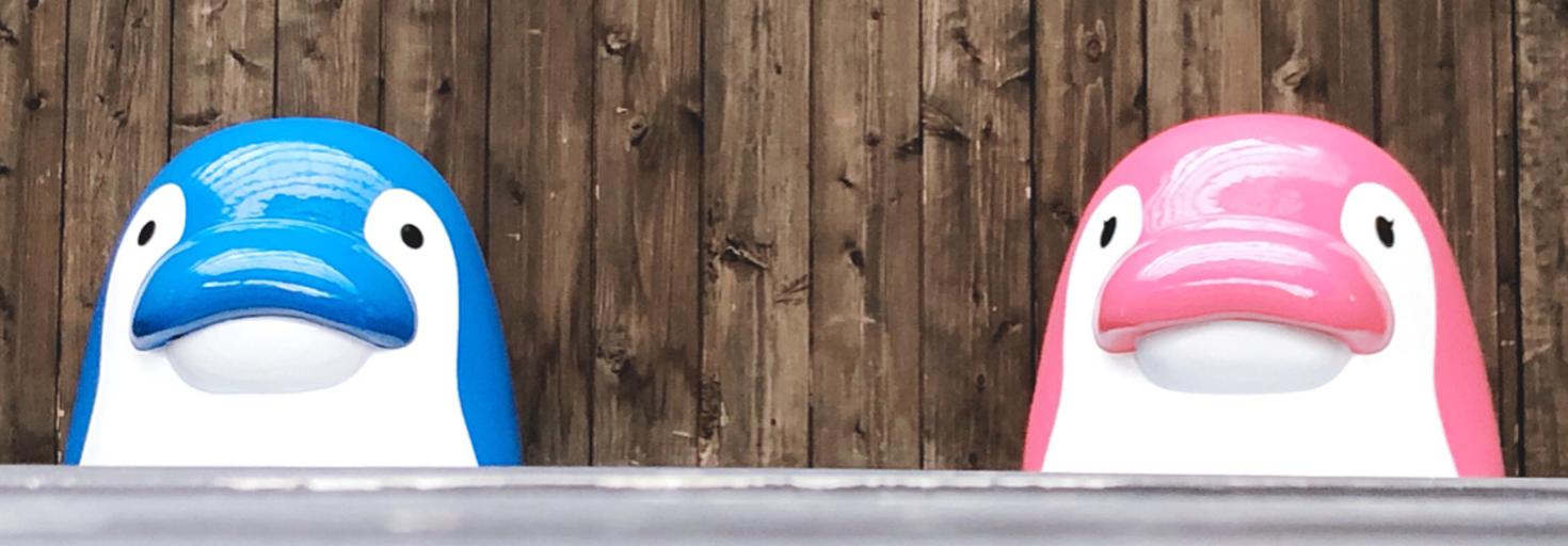 レビュアーのカバー画像