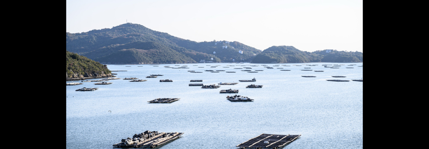 レビュアーのカバー画像