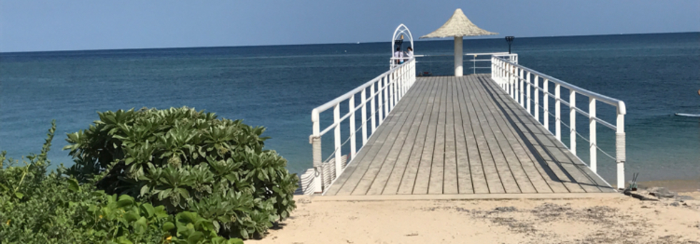 レビュアーのカバー画像