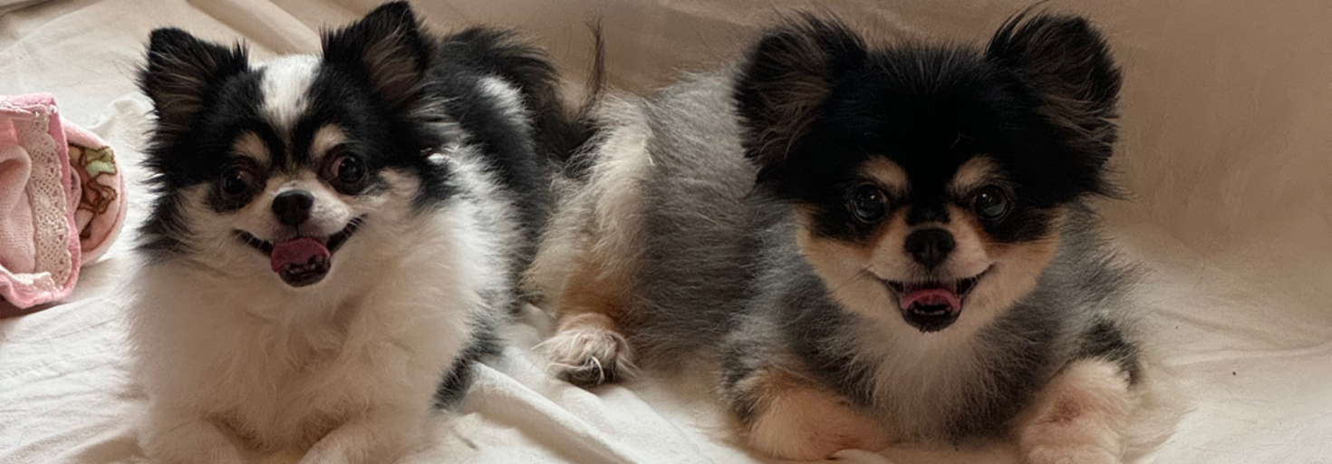 レビュアーのカバー画像