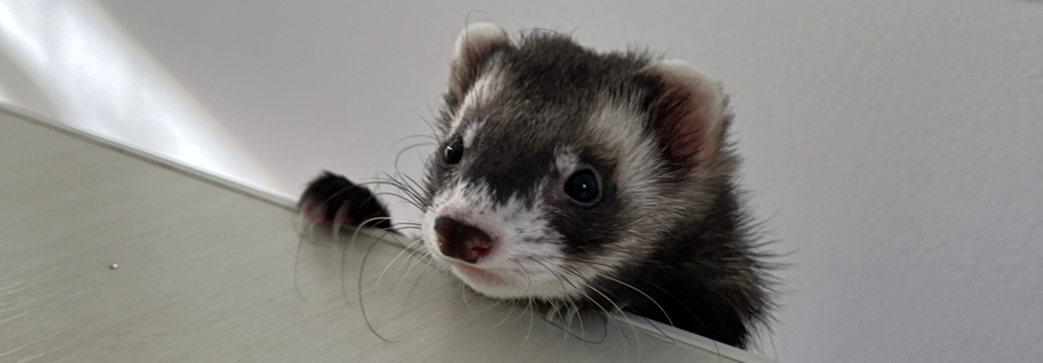 レビュアーのカバー画像