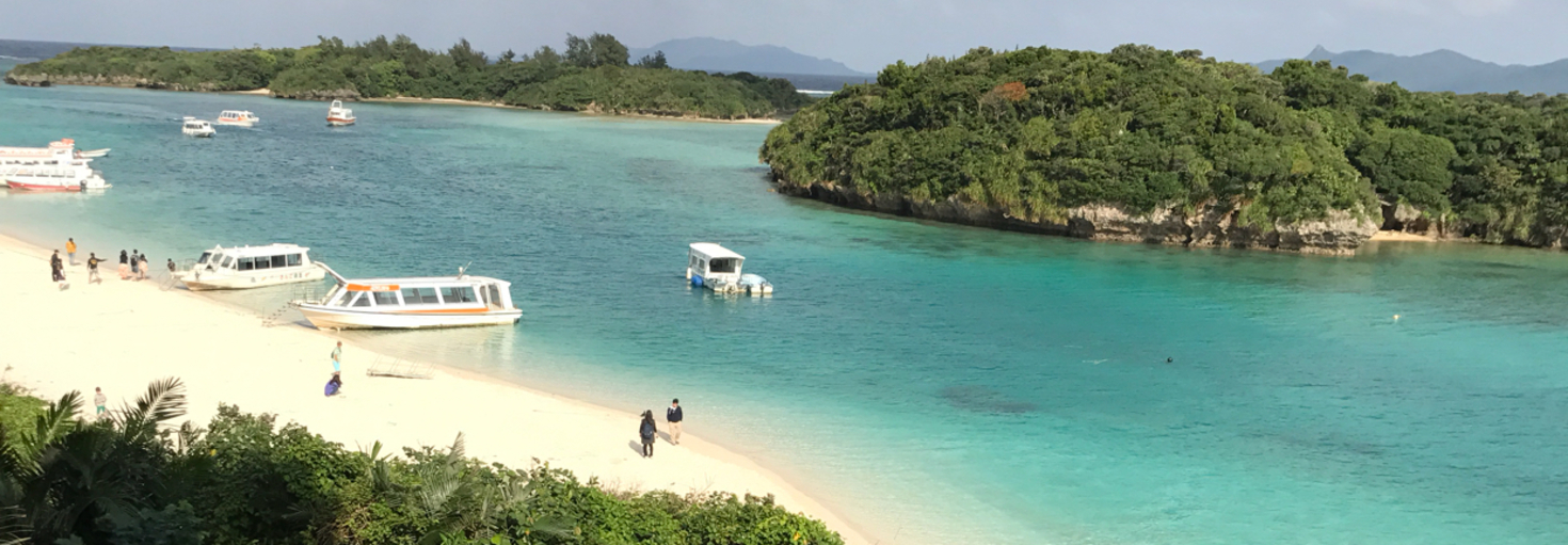 レビュアーのカバー画像