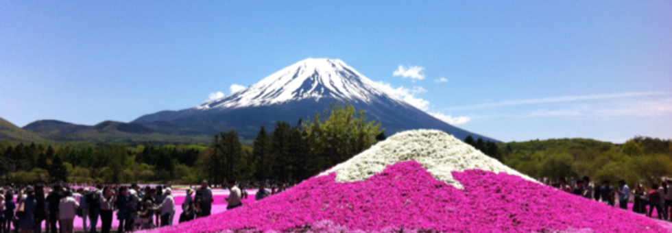 レビュアーのカバー画像