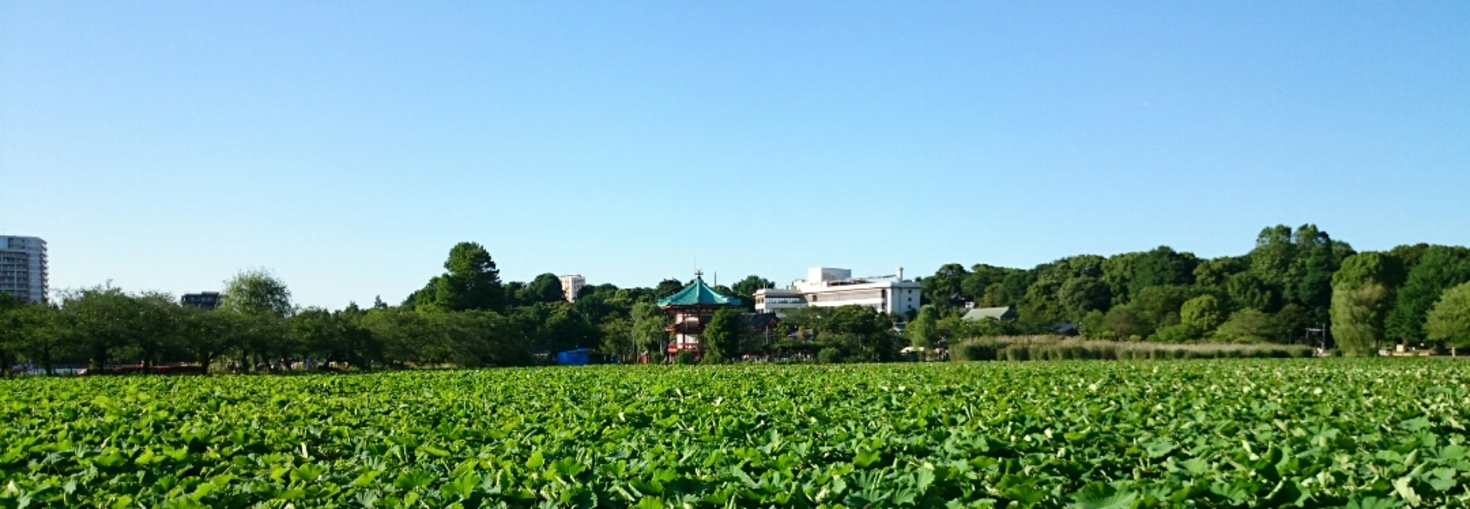 レビュアーのカバー画像