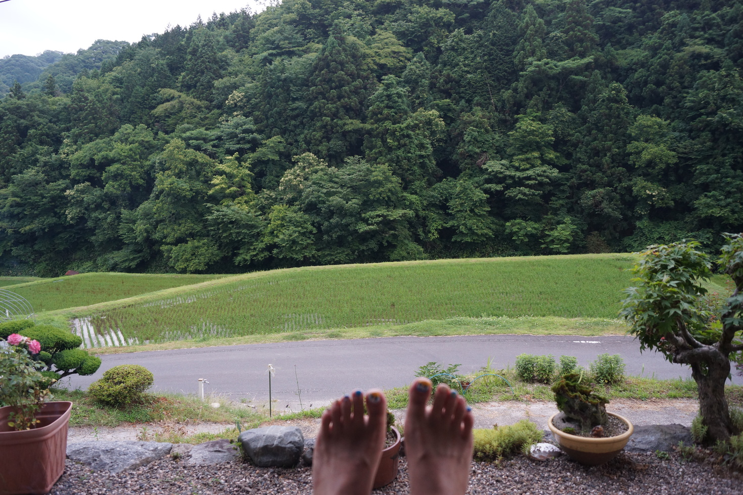 レビュアーのカバー画像