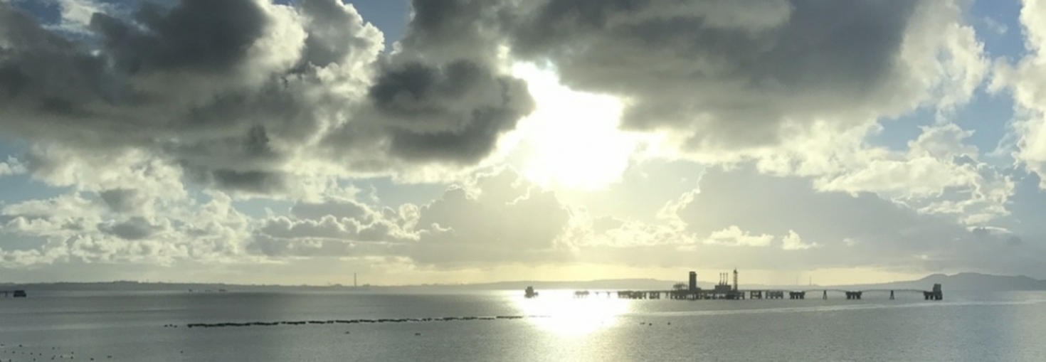 レビュアーのカバー画像