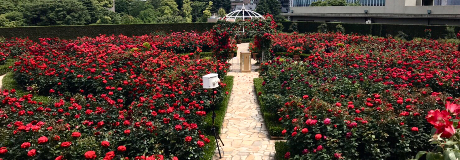 レビュアーのカバー画像