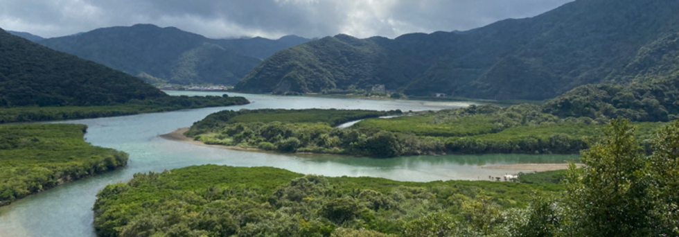 レビュアーのカバー画像