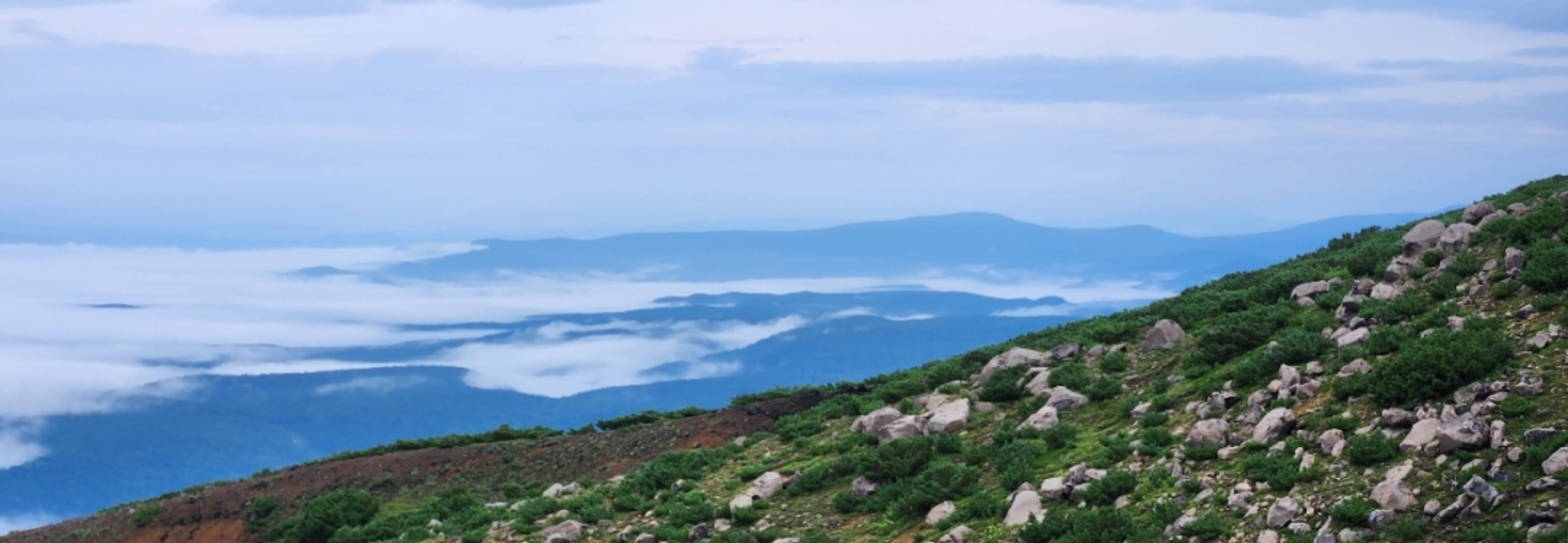 レビュアーのカバー画像