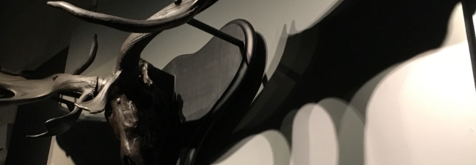 レビュアーのカバー画像