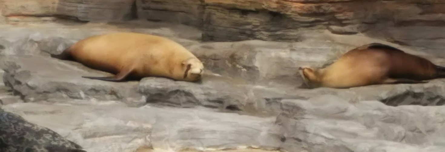 レビュアーのカバー画像