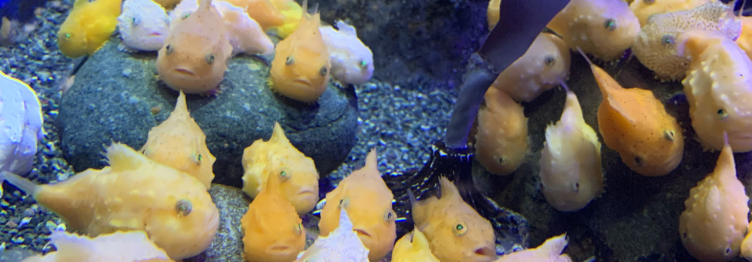 レビュアーのカバー画像