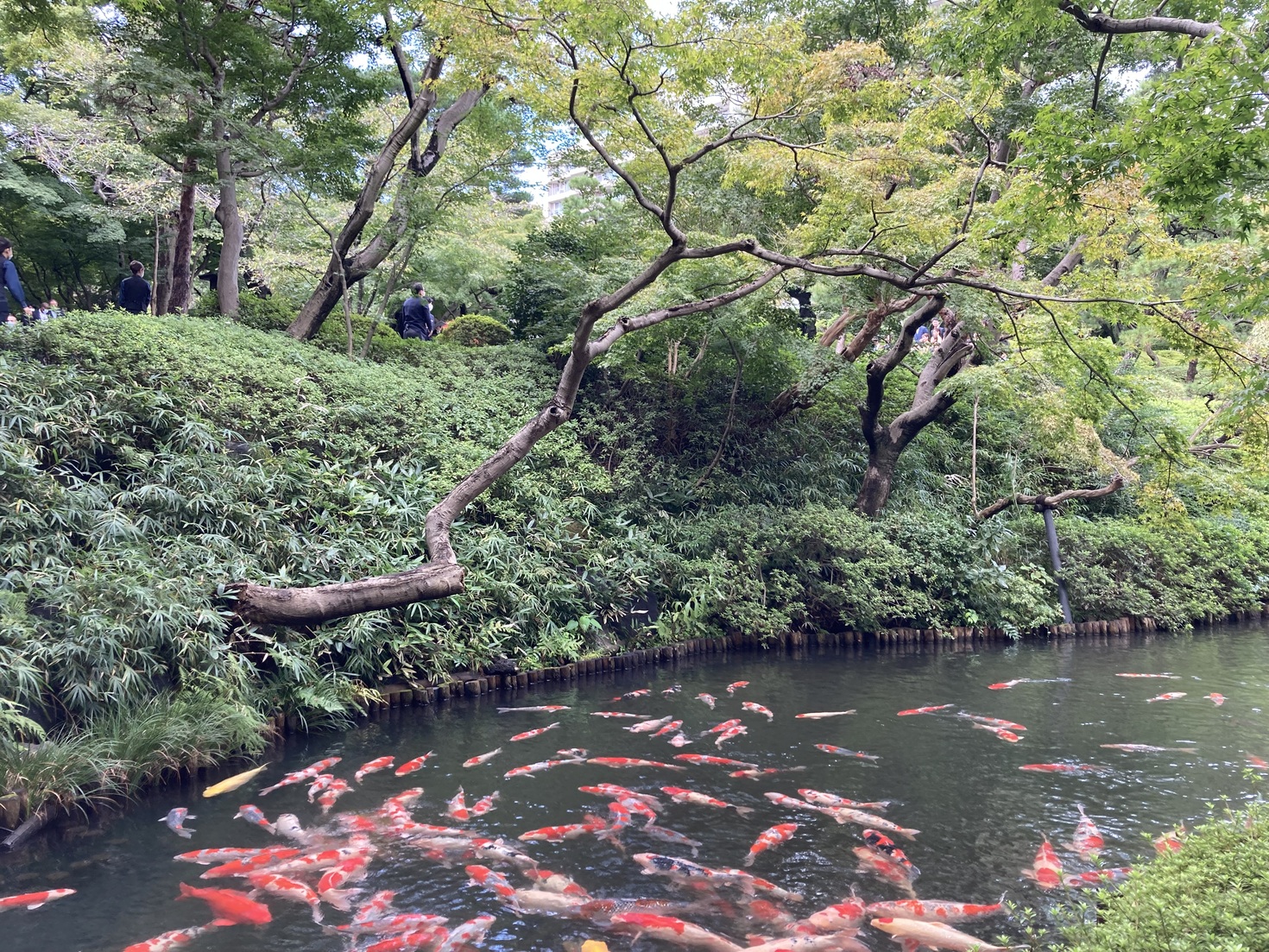 レビュアーのカバー画像