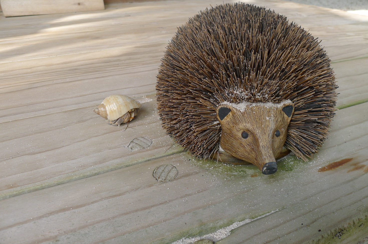 レビュアーのカバー画像