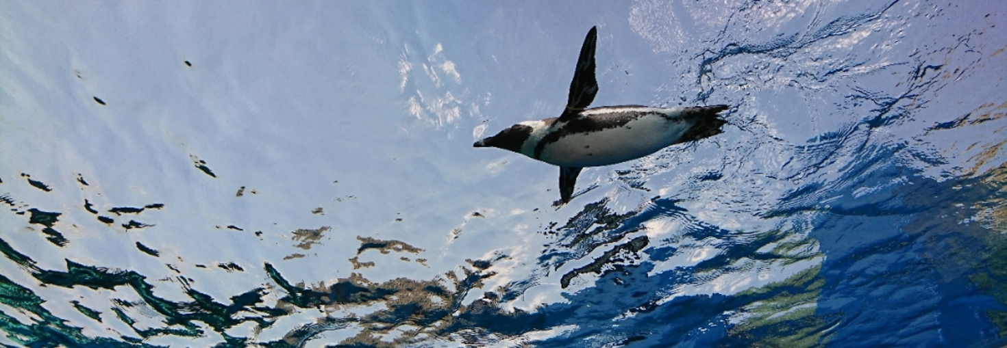 レビュアーのカバー画像