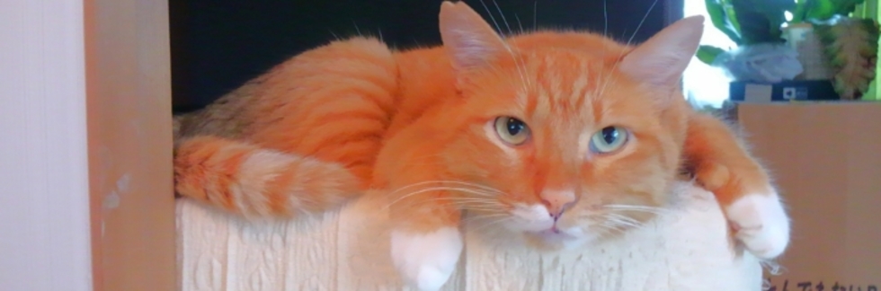 レビュアーのカバー画像